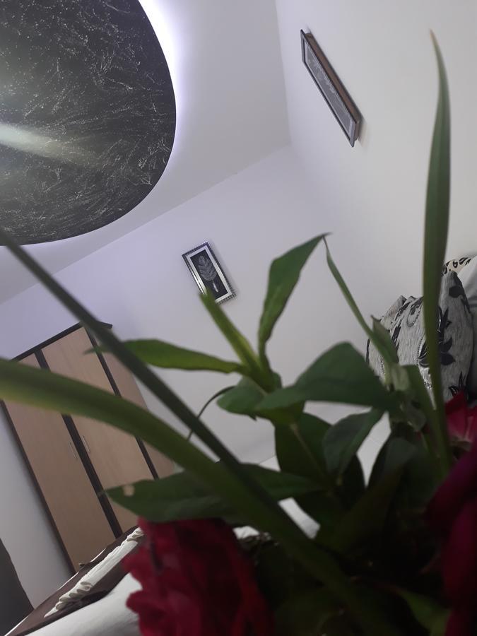 Apartments Aza Dobra Voda Kültér fotó